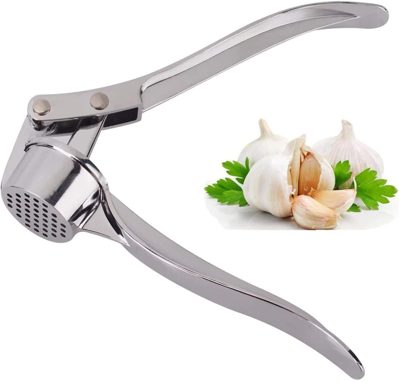 Professional Kitchen Garlic Press, Garlic Mincer Ginger Crusher UK